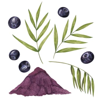 Acai berries superfood, powder and palm leaves. Exotic purple tropical berries and dried pulp set. Watercolor illustration for printing, packaging, cosmetics, granola, smoothie, supplements, labels