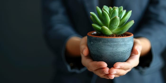 A person is holding a small plant in a blue pot. The plant is a succulent, which is a type of plant that is known for its ability to store water in its leaves