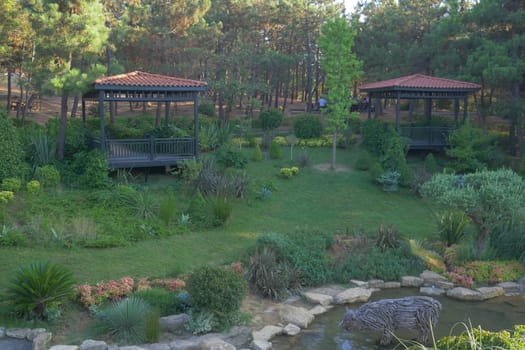 A gazebo nestled amidst vibrant greenery of a forest.