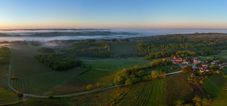 Aerial view of Bordeaux vineyard at sunrise spring under fog, Rions, Gironde, France. High quality photo