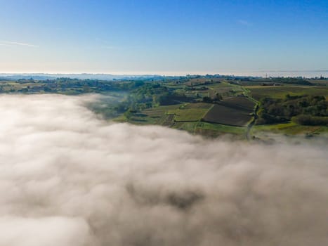 Aerial view of Bordeaux vineyard at sunrise spring under fog, Sainte-Croix-du-Mont, Gironde, France. High quality photo