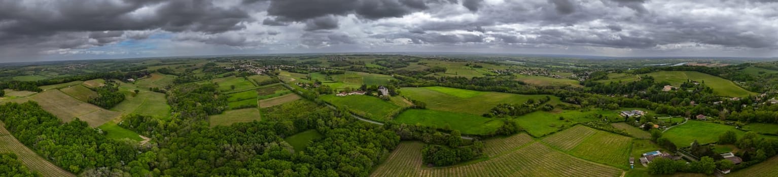 Aerial view of Bordeaux vineyard at spring under cloudy sky, Rions, Gironde, France. High quality photo