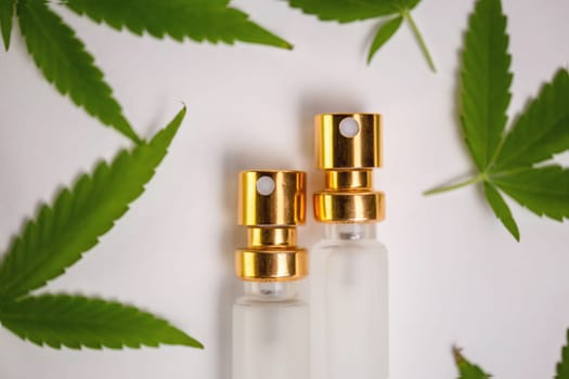 hemp oil in a bottle and leaves on a white background.