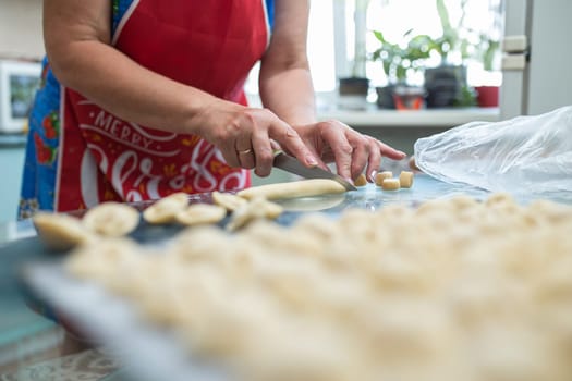 homemade cooking of dumplings with women's hands in the kitchen