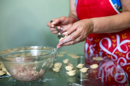 homemade cooking of dumplings with minced meat.