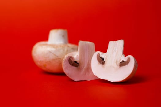 sliced mushroom champignon on a red background.