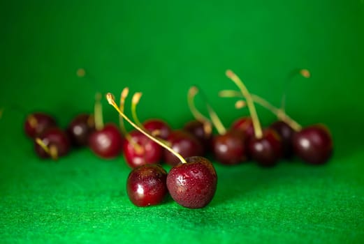 ripe red cherry on a green background