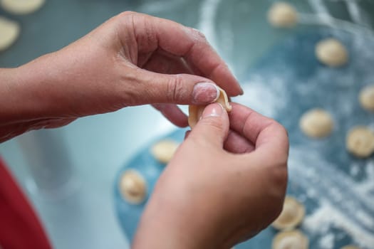 cooking dumplings from dough and minced meat close-up.