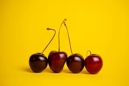 ripe cherries close-up on a yellow background.