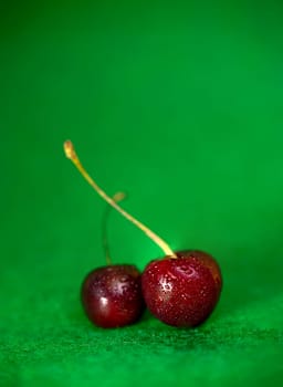 ripe red cherry on a green background