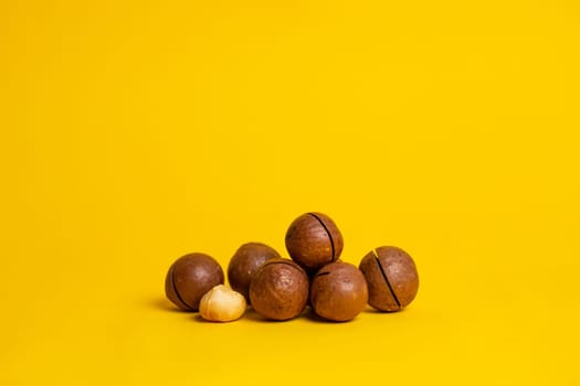 delicious and high-calorie macadamia nut on a yellow background.