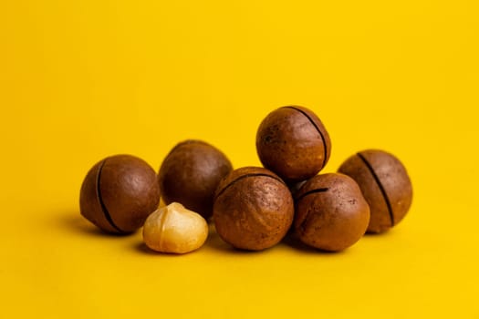 macadamia nut close-up on a yellow background.