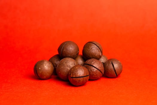 macadamia nut on a red background. delicious and healthy nut.