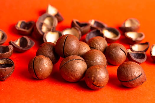 healthy macadamia nut for health on a red background.