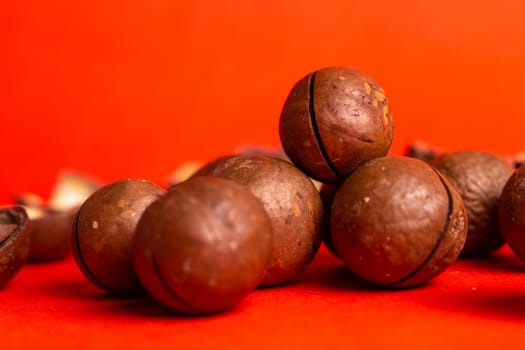 macadamia nut close-up on a red background.