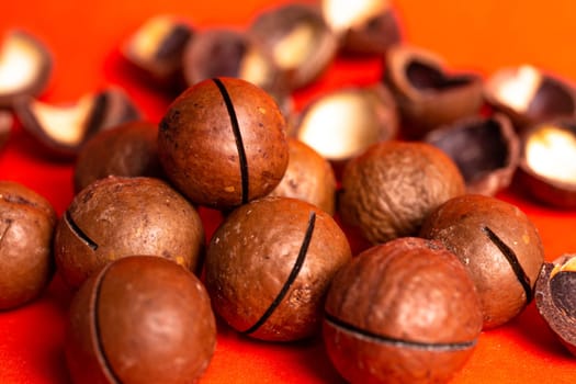 macadamia nut close-up on a red background.