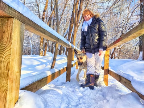 Adult girl or mature lady walking with shepherd dog, taking selfies in winter nature landscape. Middle aged woman and big shepherd dog on wooden bridge in cold day. Friendship, love, communication