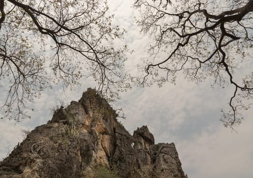 Beautiful scenery view of Mountain rock cliff and Tree Branches against sky background at Khao Nang Phanthurat Forest Park. Natural background, Space for text, Selective focus.