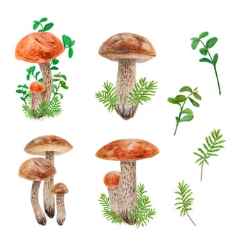 Watercolor hand drawn clip arts of forest wild berries and mushroom. Realistic botanical illustration of red juisy cranberry and boletus. Great for printing on fabric, postcards, invitations, menus, book of recipes, labels, stickers