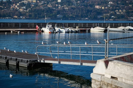 Mesmerizing alpine nature, mountains background with boats moored in Lake Como marina. Pedestrian bridge for boarding a ship with seagulls sitting in a row. Travel nd tourism concept. Italy Lombardy