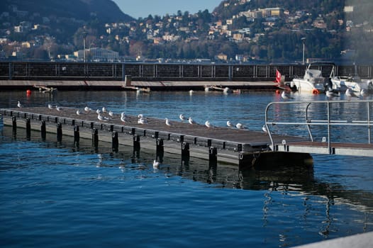 Beautiful alpine nature, mountains background with boats moored in Lake Como marina. Pedestrian bridge for boarding a ship with seagulls sitting in a row. Travel nd tourism concept. Italy Lombardy