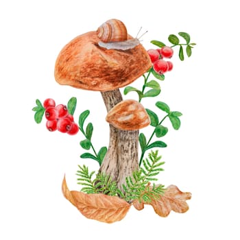 Boletus, dry leaves, linden seeds, snail. Watercolor hand drawn realistic botanical illustration with wild forest mushroom for eco goods, cards, posters, natural herbal medicine, books, stickers, packing