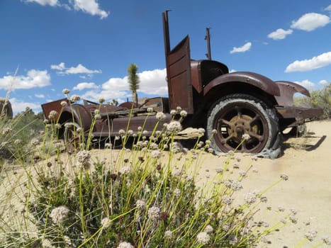 Classic Desert Southwest Photo of a Rusty Old Car Abandoned by a Flowering Shrub. High quality photo