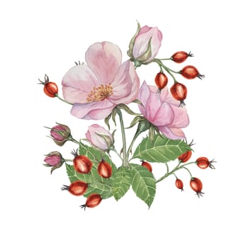 Dog rose bouquet, rosa canina watercolor floral boutonniere. Pink flower bundle, rose hip, buds and leaf of wild rose. Botanical printable briar clipart for packaging, beauty, cosmetics, perfume, food