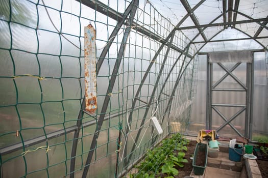 old rusty thermometer hanging in a greenhouse to maintain the required temperature for growing plants, gardening work in spring. High quality photo