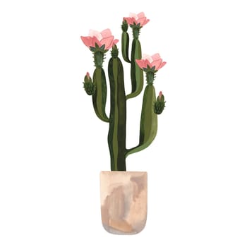 Blooming cactus in a light concrete pot. Plants for the home. Floriculture. Interior decoration. Isolated watercolor illustration on white background. Clipart