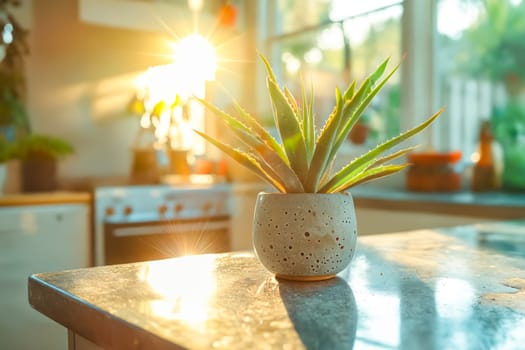 A potted plant sits on a countertop in a kitchen. The sunlight is shining on the plant, making it look vibrant and healthy. The kitchen is well-lit and clean. Generative AI