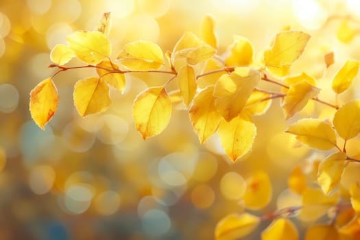 A branch of yellow leaves with a few drops of water on them. The leaves are in the sun and the light is shining on them. Generative AI