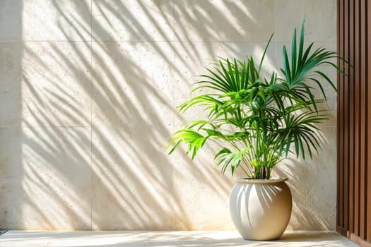 A large plant is sitting in a large white vase on a white wall. The plant is tall and has a lot of leaves. Generative AI