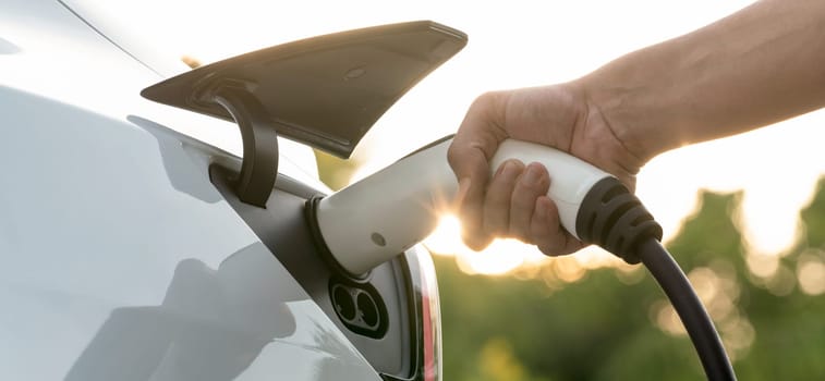 Man recharging battery for electric car during road trip travel EV car in natural forest or national park with sunrise lighting. Eco friendly travel during vacation and holiday. Panorama Exalt