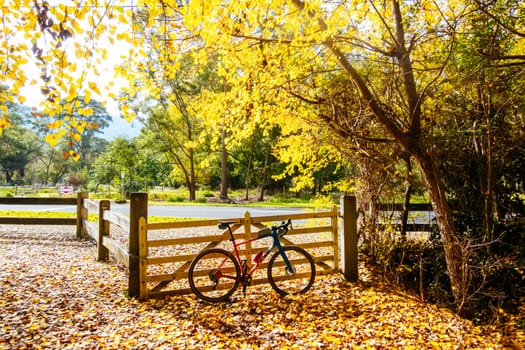 Landscape long the popular Lilydale to Warburton Rail Trail on a cool autumn day in Victoria, Australia