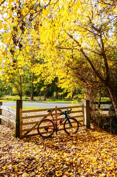 Landscape long the popular Lilydale to Warburton Rail Trail on a cool autumn day in Victoria, Australia