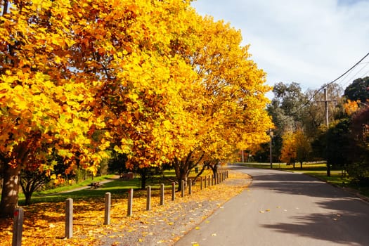 Landscape long the popular Lilydale to Warburton Rail Trail on a cool autumn day in Victoria, Australia