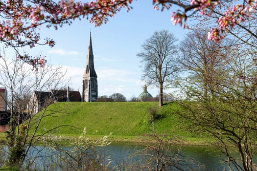 Cherry Blossom in Langelinie park on a beautiful spring day. Sakura festival. Copenhagen, Denmark 