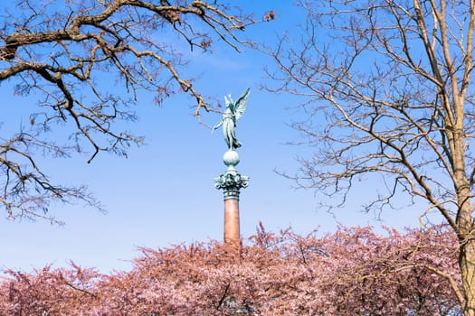 Cherry Blossom in Langelinie park on a beautiful spring day. Sakura festival. Copenhagen, Denmark 
