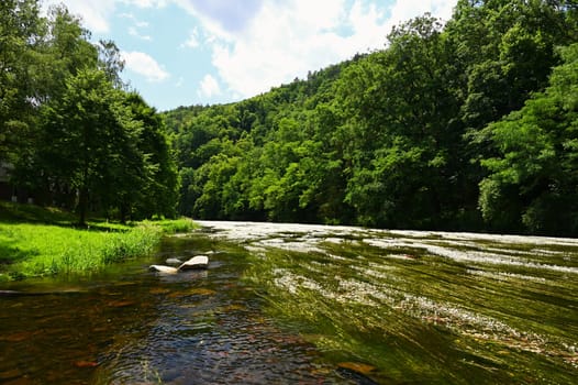 Beautiful landscape with summer nature. Jihlava River Valley - South Moravia - Czech Republic.