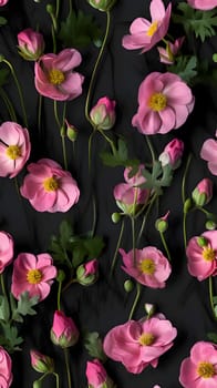 Patterns and banners backgrounds: Beautiful flowers on black background, flat lay. Floral pattern