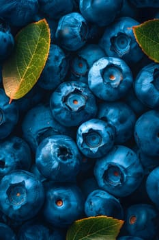 An artistic arrangement of azure blueberries with green leaves, resembling an electric blue pattern. The aquatic organism pops against the terrestrial plants