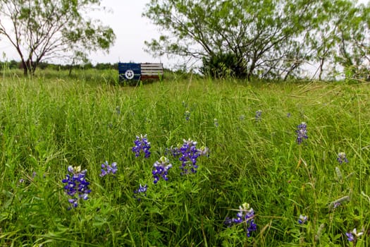 Views at Bluebonnet Park, Ennis, Texas