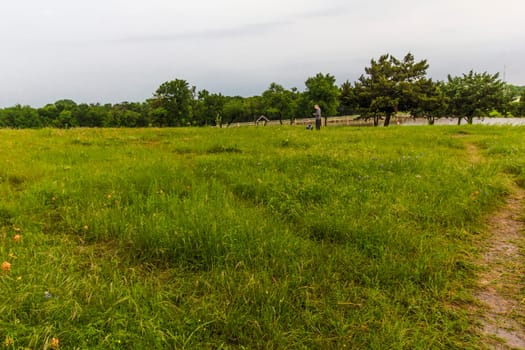 Views at Bluebonnet Park, Ennis, Texas