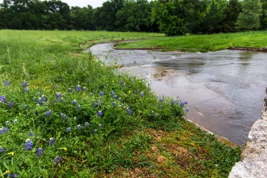 Views at Bluebonnet Park, Ennis, Texas