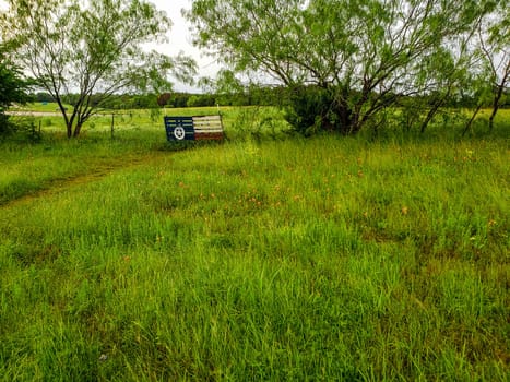 Views at Bluebonnet Park, Ennis, Texas