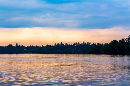 Boat safari through tropical natural mangrove jungle forest in Bentota Ganga River Lake in Bentota Beach Galle District Southern Province Sri Lanka.