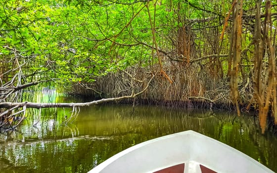 Boat safari trip through mangrove jungle forest in Bentota Ganga River Lake in Bentota Beach Galle District Southern Province Sri Lanka.