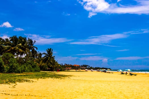 Beautiful beach with tropical nature sand water waves people fun parasols and sun loungers in Bentota Beach on Sri Lanka island.