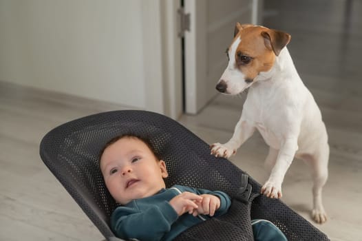 A dog rocks a cute three month old boy dressed in a blue onesie in a baby bouncer